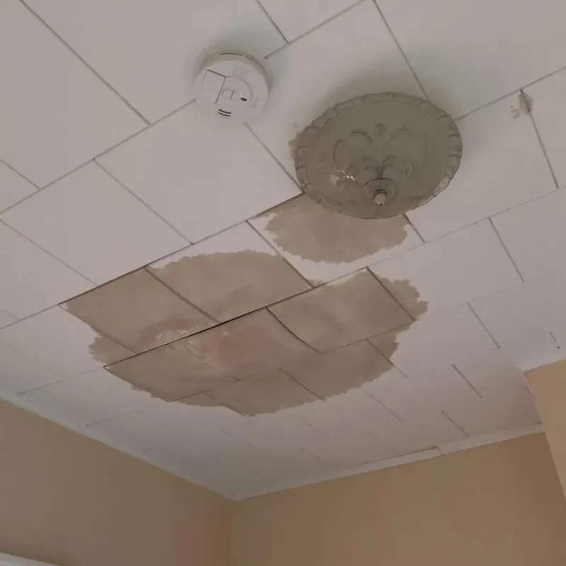 Ceiling Water Damage Repair in Albany, MN